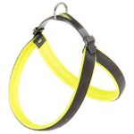 PETTORINA AGILA FLUO 4 Gialla