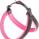 PETTORINA AGILA FLUO 4 Rosa