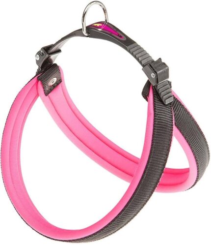 PETTORINA AGILA FLUO 4 Rosa