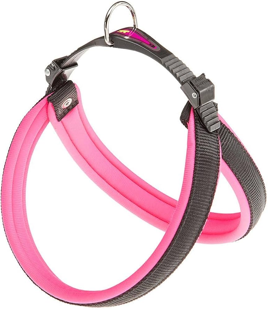PETTORINA AGILA FLUO 4 Rosa PETTORINA AGILA FLUO 4 Rosa