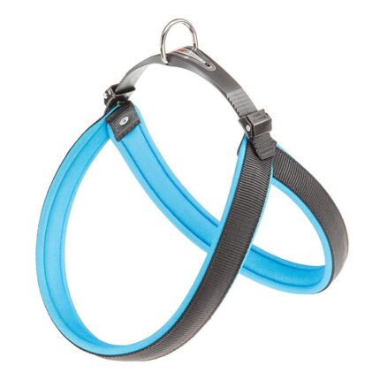 PETTORINA AGILA FLUO 6 Blu
