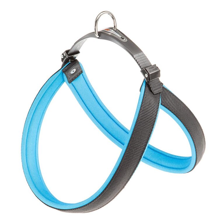 PETTORINA AGILA FLUO 6 Blu
