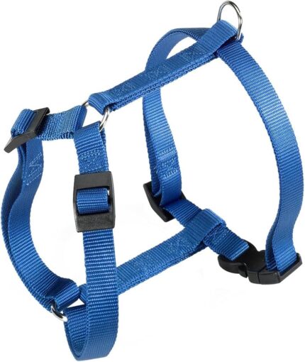 PETTORINA CHAMPION Large Blu