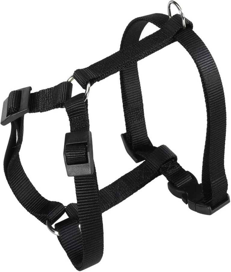 PETTORINA CHAMPION Large Grigio Scuro