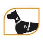 PETTORINA CHAMPION Large Nera