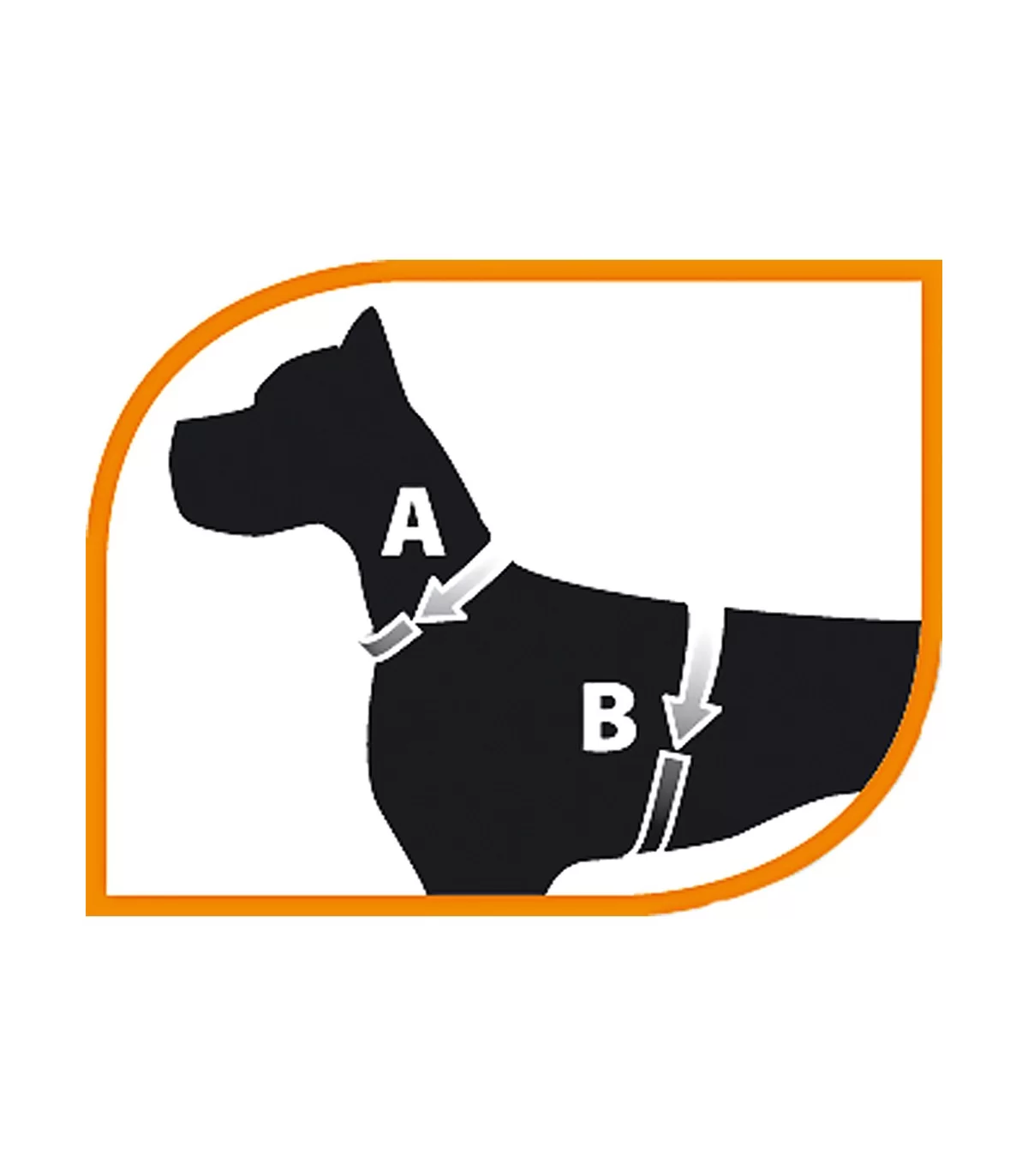PETTORINA CHAMPION Large Nera PETTORINA CHAMPION Large Nera