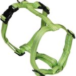 PETTORINA CHAMPION Large Verde O.
