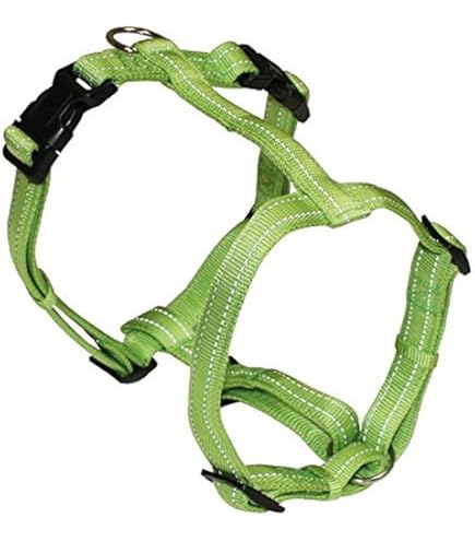 PETTORINA CHAMPION Large Verde O.