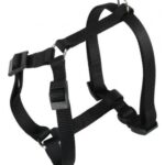 PETTORINA CHAMPION Medium Nera