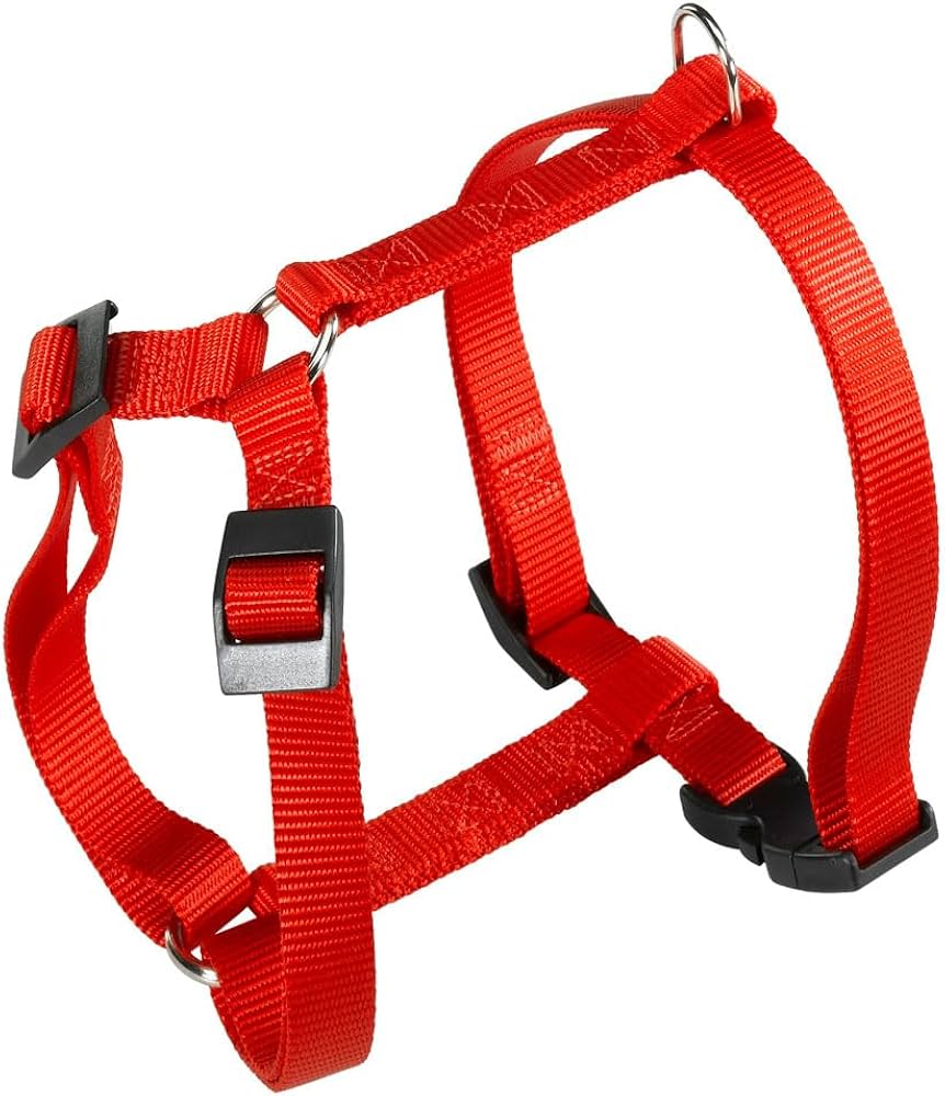 PETTORINA CHAMPION Medium Rossa PETTORINA CHAMPION Medium Rossa