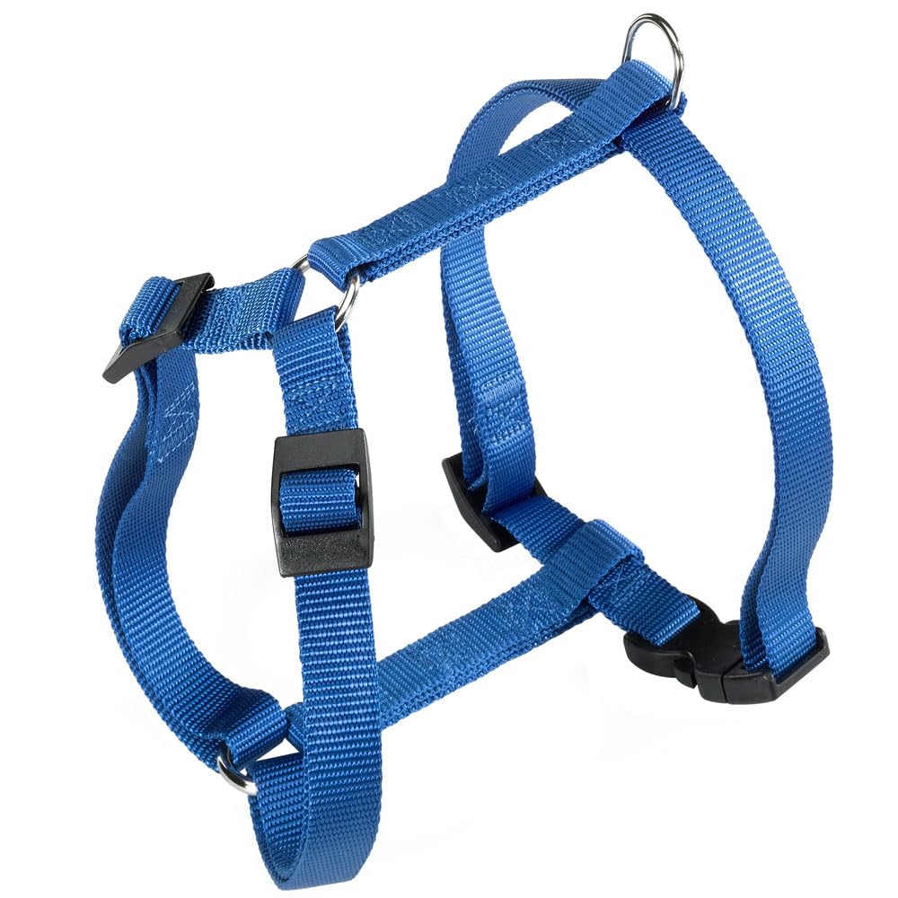 PETTORINA CHAMPION XL Blu PETTORINA CHAMPION XL Blu