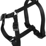 PETTORINA CHAMPION XL Nera