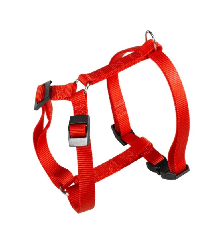 PETTORINA CHAMPION XL Rossa