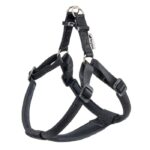 PETTORINA DAYTONA Large Nera