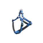 PETTORINA DAYTONA Medium Blu