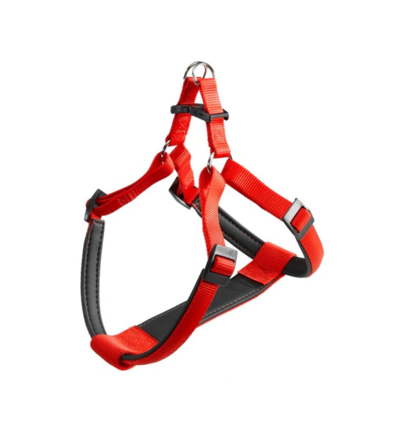PETTORINA DAYTONA Medium Rossa
