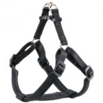 PETTORINA DAYTONA Small Nera