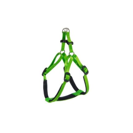 PETTORINA DAYTONA Small Verde O.