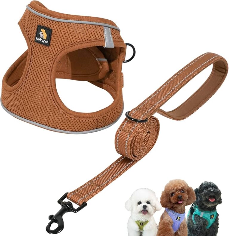 PETTORINA EASY Small Marrone