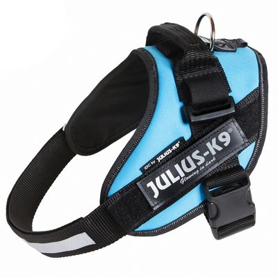 PETTORINA JULIUSK9 Mis.0 cm 58-76 Acqua
