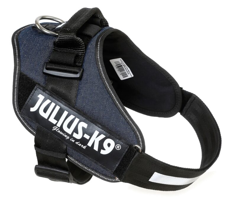 PETTORINA JULIUSK9 Mis.3 cm 82-115 Jeans