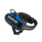 PETTORINA JULIUSK9 Mis.XXXS cm 29-36 Blu