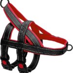 PETTORINA NYLON ADDESTRAMENTO Large