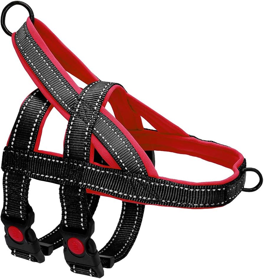 PETTORINA NYLON ADDESTRAMENTO Large PETTORINA NYLON ADDESTRAMENTO Large