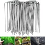 PICCHETTI D.3MM 50x145 Pz.30 Acciaio Z.