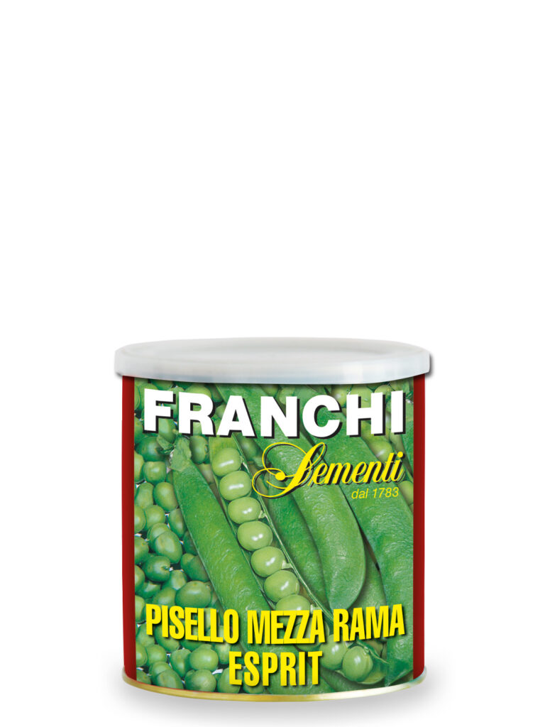 PISELLO M/Rama ESPRIT gr 160 Franchi