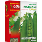 PISELLO Ramp. ALDERMAN gr 250 Franchi