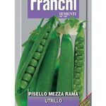 PISELLO UTRILLO gr 200 Franchi