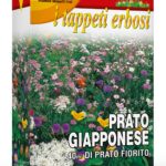 PRATO GIAPPONESE kg 1 Franchi