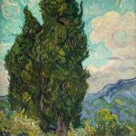 QUADRO CIPRESSI 24x24 H.22