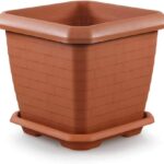 QUADRO SAUCHER cm 37X37 Terracotta