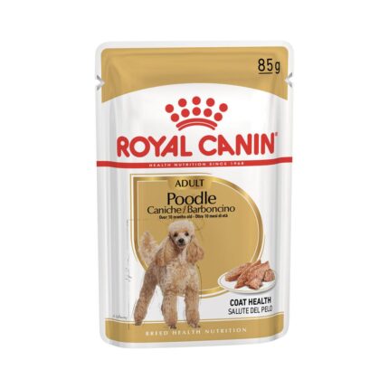 RC BARBONCINO (POODLE) gr 85