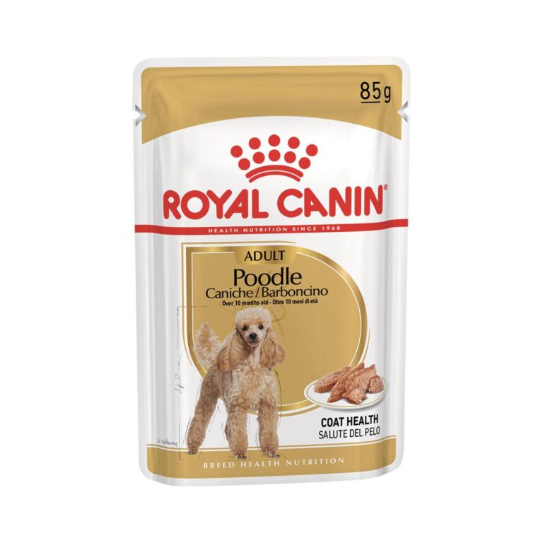 RC BARBONCINO (POODLE) gr 85