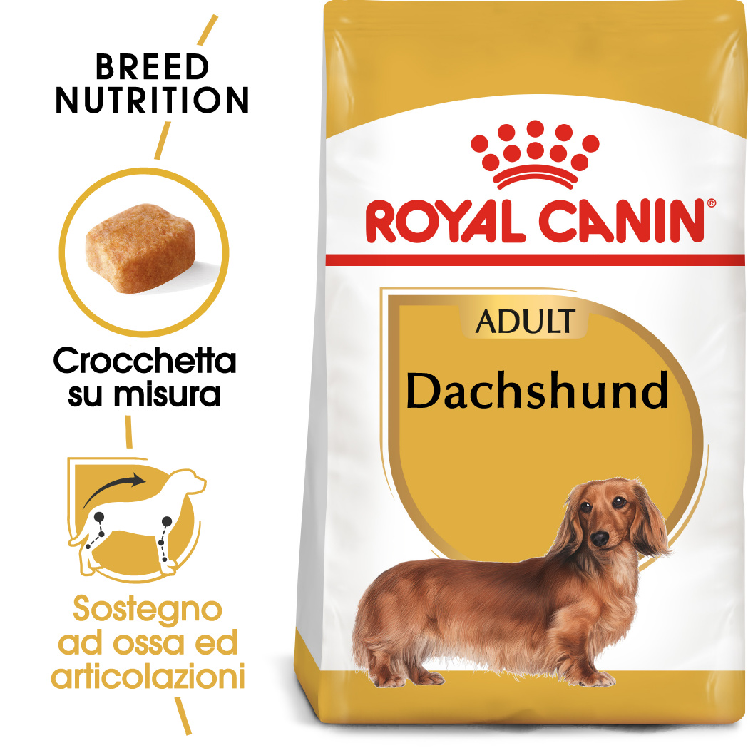 RC BASSOTTO (DACHSHUND) ADULT kg 1.5 RC BASSOTTO (DACHSHUND) ADULT kg 1.5
