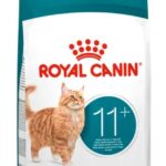 RC CAT AGEING 11+ gr 400