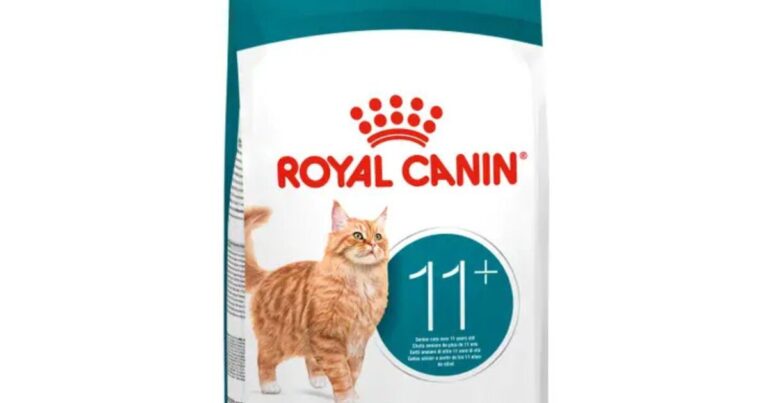 RC CAT AGEING 11+ gr 400