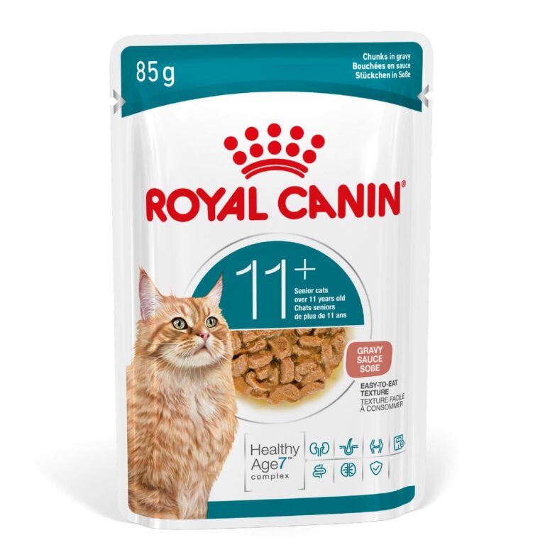 RC CAT AGEING 11+ gr 85