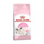 RC CAT BABY 34 gr 400