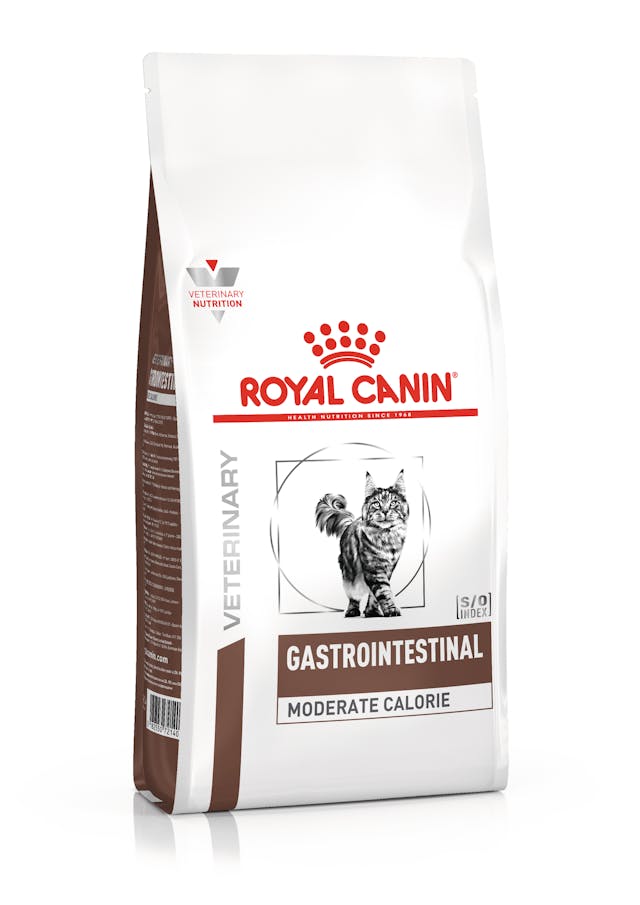RC CAT GASTROINTESTINAL MOD.CAL. kg 2