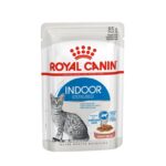 RC CAT INDOOR GRAVY gr 85