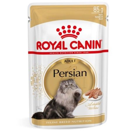 RC CAT PERSIAN gr 85
