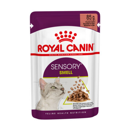 RC CAT SENSORY SMELL Salsa gr 85