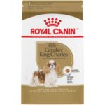 RC CAVALIER KING C.27 kg 1.5