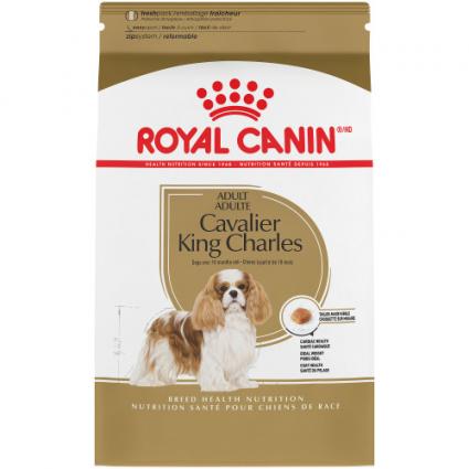 RC CAVALIER KING C.27 kg 1.5