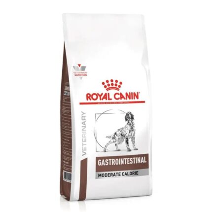 RC DOG GASTROINTESTINAL kg 2