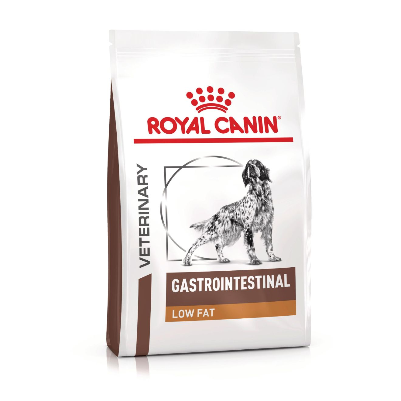 RC DOG GASTROINTESTINAL LOW FAT kg 6 RC DOG GASTROINTESTINAL LOW FAT kg 6